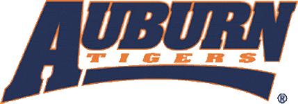 Auburn Tigers 1998-2003 Wordmark Logo v2 iron on transfers for T-shirts